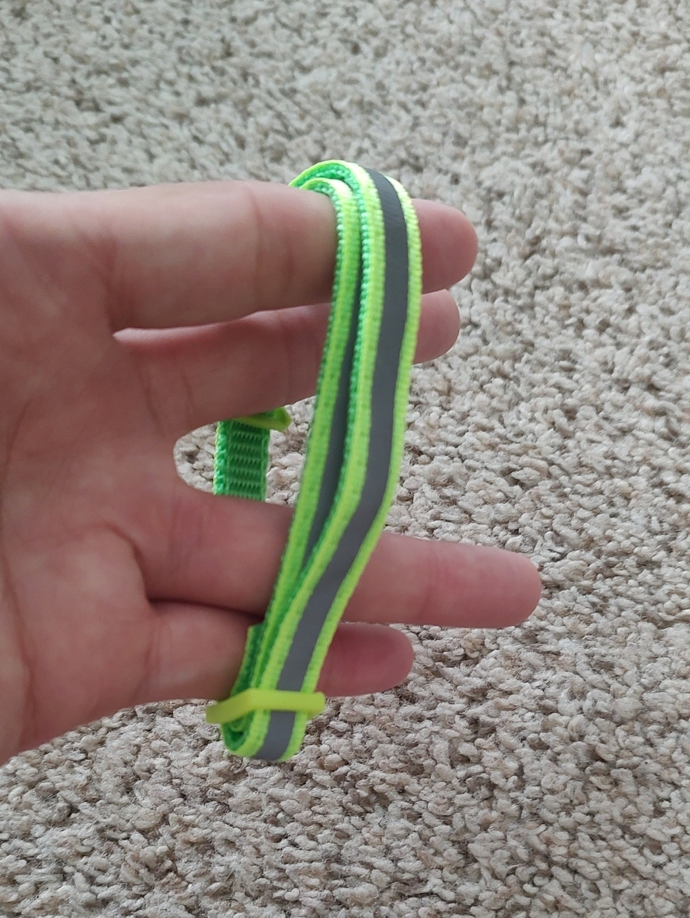 (8) Reflective Cat Collars - Picture 5 of 10